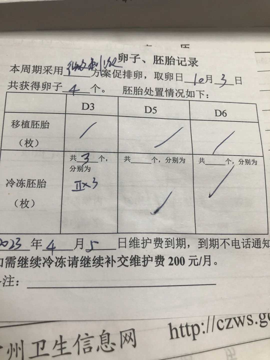 9月28日！终于终于定移植日了,试管代孕生男孩