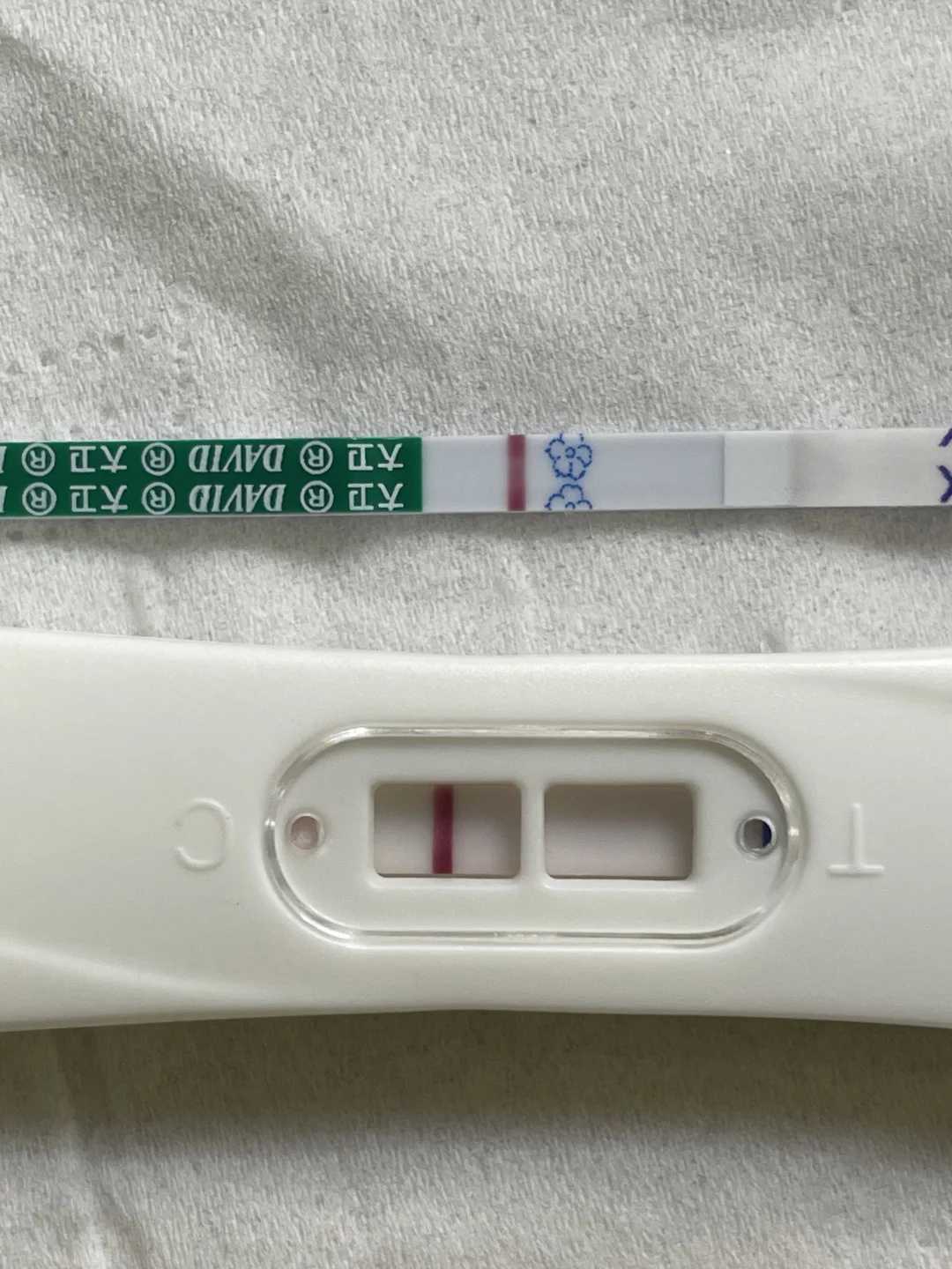 试管二移又要失败做了奇怪的梦,代孕公司哪里最安全