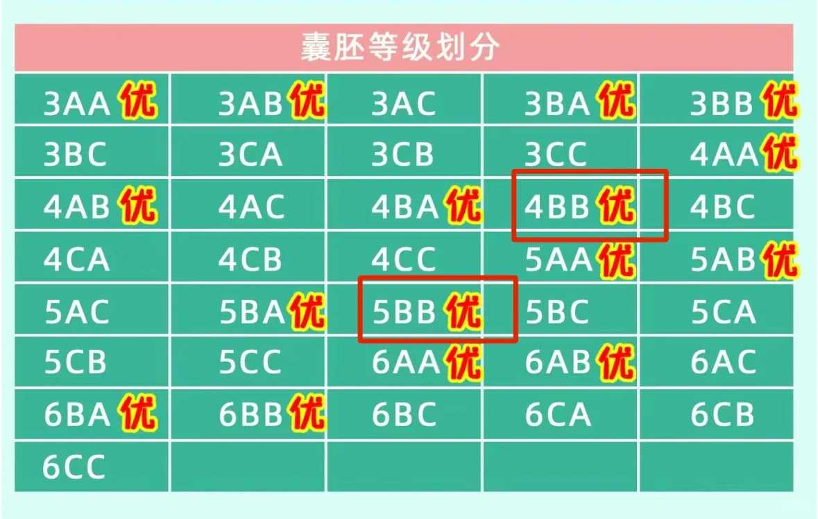 普通家庭🏠做试管婴儿需要多少钱？,试管代孕正哪家好
